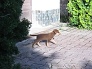 Filip